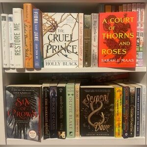 Collection of Popular Fantasy and Fiction Books